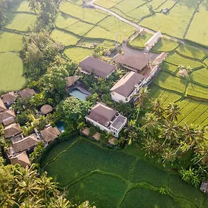 The Sun Of Granary And Indonesia